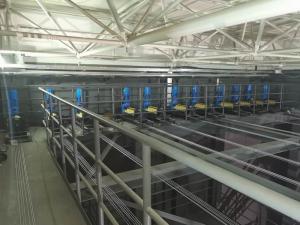 案例展示 (5)